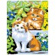 Tableau chats coquins 23x30cm peinture par numeros debutant-lilojouets-morbihan-bretagne