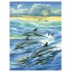 Tableau dauphins 23x30cm peinture par numeros debutant-lilojouets-morbihan-bretagne