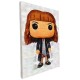 Deco pop hermione granger toile 40x30cm sur chassis bois-lilojouets-morbihan-bretagne