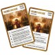 Quiz harry potter top trumps 500 questions-lilojouets-morbihan-bretagne