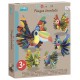 Pack pliages eventail oiseaux exotiques-lilojouets-morbihan-bretagne