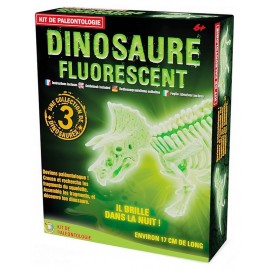 KIT PALEO SQUELETTE DINOSAURE FLUO ASST