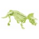Kit paleo squelette dinosaure fluo asst-lilojouets-morbihan-bretagne