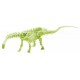 Kit paleo squelette dinosaure fluo asst-lilojouets-morbihan-bretagne