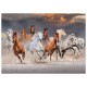 Puzzle chevaux du desert 1000 pieces premium quality-lilojouets-morbihan-bretagne