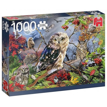 PUZZLE HIBOUX AU CLAIR DE LUNE 1000 PIECES PREMIUM QUALITY-LiloJouets-Morbihan-Bretagne