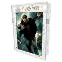 PUZZLE RON 300 PIECES IMAGE 3D LENTICULAIRE BOITE METAL HARRY POTTER
