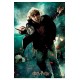 Puzzle ron 300 pieces image 3d lenticulaire boite metal harry potter-lilojouets-morbihan-bretagne