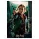 Puzzle hermione 300 pieces image 3d lenticulaire boite metal harry potter-lilojouets-morbihan-bretagne