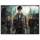 Puzzle harry ron hermione 300 pieces image 3d lenticulaire harry potter-lilojouets-morbihan-bretagne