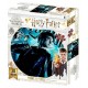 Puzzle griffondor harry potter 300 pieces image 3d lenticulaire-lilojouets-morbihan-bretagne