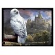 Puzzle hibou hedwige 300 pieces image 3d lenticulaire harry potter-lilojouets-morbihan-bretagne