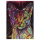 Puzzle jolly pets chat abyssian 2000 pieces-lilojouets-morbihan-bretagne