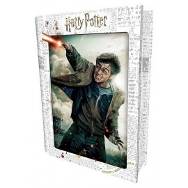 PUZZLE HARRY POTTER 300 PIECES IMAGE 3D LENTICULAIRE BOITE METAL