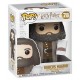 Figurine pop 78 rubeus hagrid 15cm avec cake harry potter-lilojouets-morbihan-bretagne