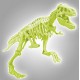 Archeo ludic t-rex squelette dinosaure phosphorescent-lilojouets-morbihan-bretagne