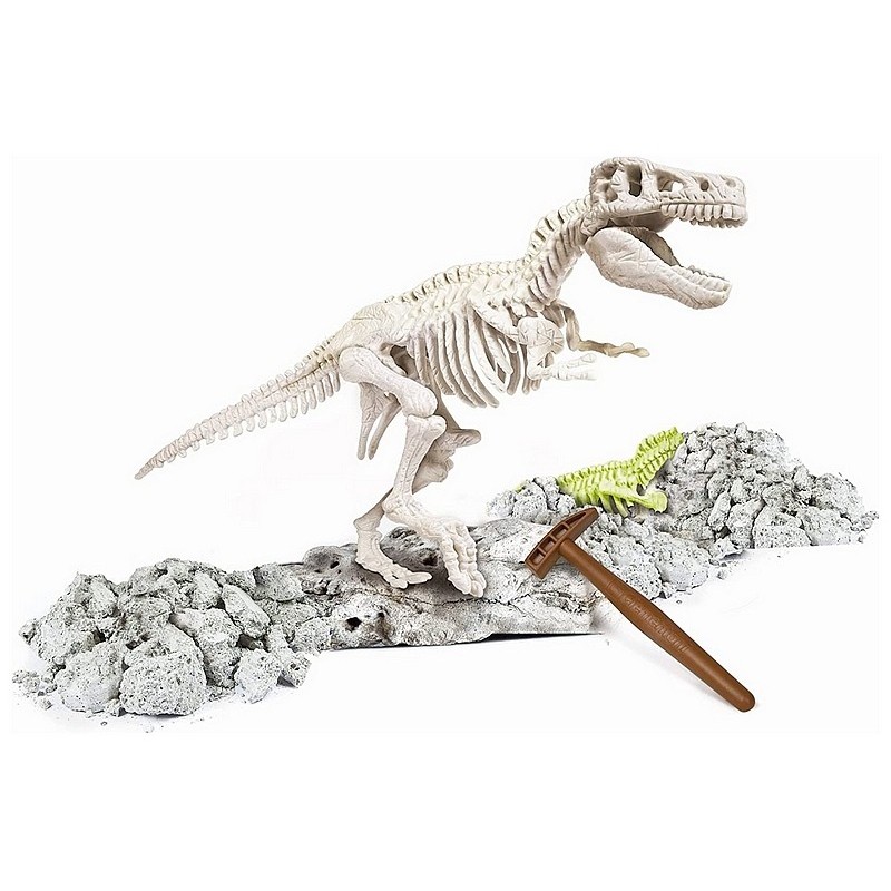 Archeo ludic t-rex squelette dinosaure phosphorescent science et