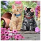 Kit carte chatons 18x18cm broderie diamant crystal art-lilojouets-morbihan-bretagne