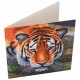 Kit carte tigre 18x18cm broderie diamant crystal art-lilojouets-morbihan-bretagne