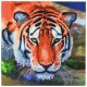 Kit carte tigre 18x18cm broderie diamant crystal art-lilojouets-morbihan-bretagne