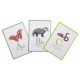 Abecedaire des animaux avec cartes tout autour du monde-lilojouets-morbihan-bretagne