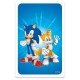 Jeu sonic super steams avec 8 figurines-lilojouets-morbihan-bretagne