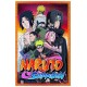 Puzzle naruto shippuden 500 pieces ninjas de konoha-lilojouets-morbihan-bretagne