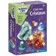 Coffret cree tes cristaux science et jeu-lilojouets-morbihan-bretagne