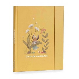 LIVRE DE NAISSANCE 80 PAGES TROIS PETITS LAPINS