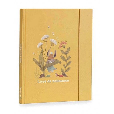 LIVRE DE NAISSANCE 80 PAGES TROIS PETITS LAPINS-LiloJouets-Morbihan-Bretagne