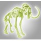Archeo ludic mammouth squelette dinosaure phosphorescent science et jeu-lilojouets-morbihan-bretagne