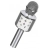 MICRO ENCEINTE KARAOKE 3W-LiloJouets-Morbihan-Bretagne