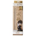 PLUMIER EN BOIS HARRY POTTER