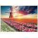 Puzzle paysage de tulipes 1500 pieces-lilojouets-morbihan-bretagne