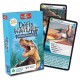 Cartes dinosaures v2 defis nature-lilojouets-morbihan-bretagne