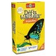 Cartes insectes defis nature-lilojouets-morbihan-bretagne