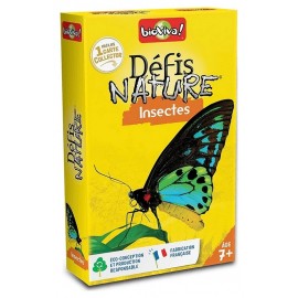 CARTES INSECTES DEFIS NATURE-LiloJouets-Morbihan-Bretagne