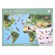 Pochette decalcomanies mappemonde les animaux du monde-lilojouets-morbihan-bretagne