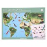 POCHETTE DECALCOMANIES MAPPEMONDE LES ANIMAUX DU MONDE-LiloJouets-Morbihan-Bretagne