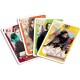 Jeu cartes harry potter 4en1 - jeu familles -paires - action et de bataille-lilojouets-morbihan-bretagne