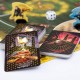 Jeu attrappe le vif d'or coffret harry potter course quidditch-lilojouets-morbihan-bretagne