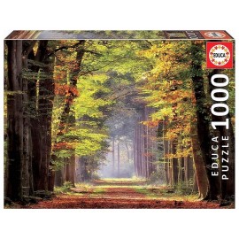 PUZZLE FORET PROMENADE AUTOMNALE 1000 PIECES-LiloJouets-Morbihan-Bretagne PUZZLE FORET PROMENADE AUTOMNALE 1000 PIECES-LiloJouets-Morbihan-Bretagne