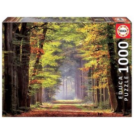 PUZZLE FORET PROMENADE AUTOMNALE 1000 PIECES-LiloJouets-Morbihan-Bretagne