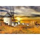 Puzzle moulins a vent 1500 pieces 85x60cm-lilojouets-morbihan-bretagne