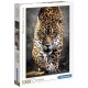 Puzzle jaguar 1000 pieces high quality-lilojouets-morbihan-bretagne