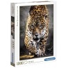 PUZZLE JAGUAR 1000 PIECES HIGH QUALITY-LiloJouets-Morbihan-Bretagne