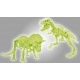 Archeo ludic t-rex et triceratops phosphorescents dinosaures-lilojouets-morbihan-bretagne