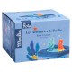 Boite a musique - aventures de paulie-lilojouets-morbihan-bretagne