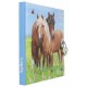 Journal intime avec cadenas chevaux carnet secret miss melody-lilojouets-morbihan-bretagne