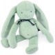 Peluche lapin meloe vert sauge 37cm-lilojouets-morbihan-bretagne